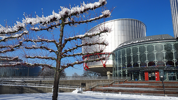 Human Rights Building with tree in foreground and snow on ground